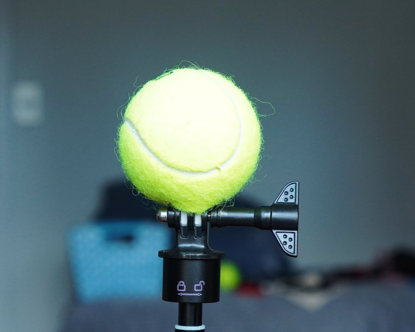 Tennis Ball