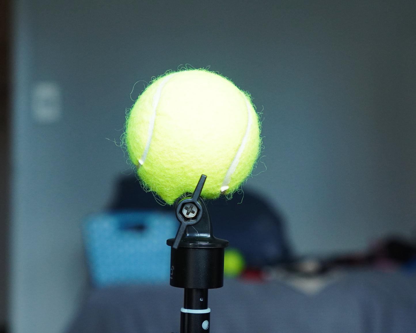 Tennis Ball